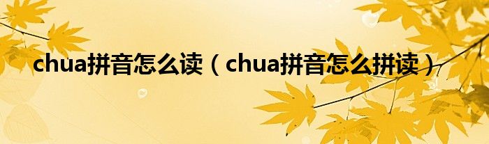 chua拼音怎么读chua拼音怎么拼读
