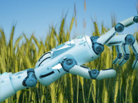 人工智能如何改善可控环境农业