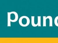 大流行削减了Poundland母公司的利润