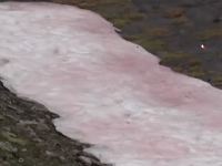 阿尔卑斯山出现粉色冰川 专家表示有可能加速冰川融化