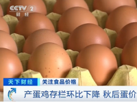 鸡蛋价格半年降近3成 今年6月份全国鸡蛋平均价格为每斤3.2元