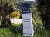 新西兰房地产协会的销售数据显示 7月生活方式街区的销售额创历史新高