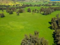 新南威尔士州的Riverina农场创下地区纪录