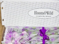 Bloom＆Wild收购荷兰竞争对手业务 销售额超过1亿英镑
