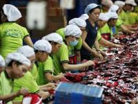 全球公司主导越南电子产品出口
