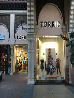 Torrid Holdings Inc报告了强劲的第二季度