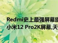 Redmi史上最强屏幕旗舰曝光：2K高分直屏、部分参数超小米12 Pro2K屏幕,天玑9000,Redmi K50 Pro+