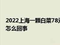 2022上海一颗白菜78元是真的吗 上海疫情菜价疯涨具体是怎么回事