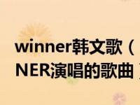 winner韩文歌（sentimental 韩国男团WINNER演唱的歌曲）