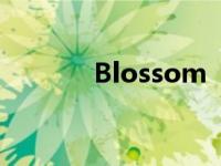 Blossom NBC电视情景喜剧
