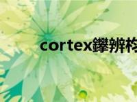 cortex鑻辨枃（cortex 英语单词）