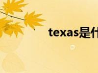texas是什么牌子（Texas）