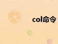 col命令（col 电脑术语）
