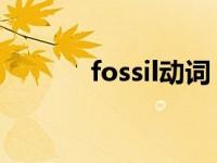 fossil动词（fossil 英语单词）