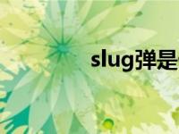 slug弹是什么子弹（slug）