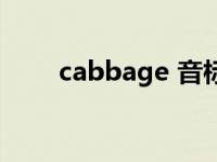 cabbage 音标（cabbage 卷心菜）