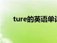 ture的英语单词（tundra 英语单词）