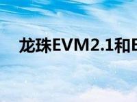 龙珠EVM2.1和ECX2.1（有什么区别呢）