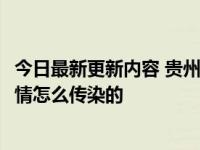今日最新更新内容 贵州毕节农村两周内超600人感染 织金疫情怎么传染的