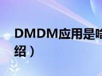 DMDM应用是啥（DMDM相关内容简介介绍）