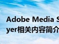 Adobe Media Server（Adobe Media Player相关内容简介介绍）